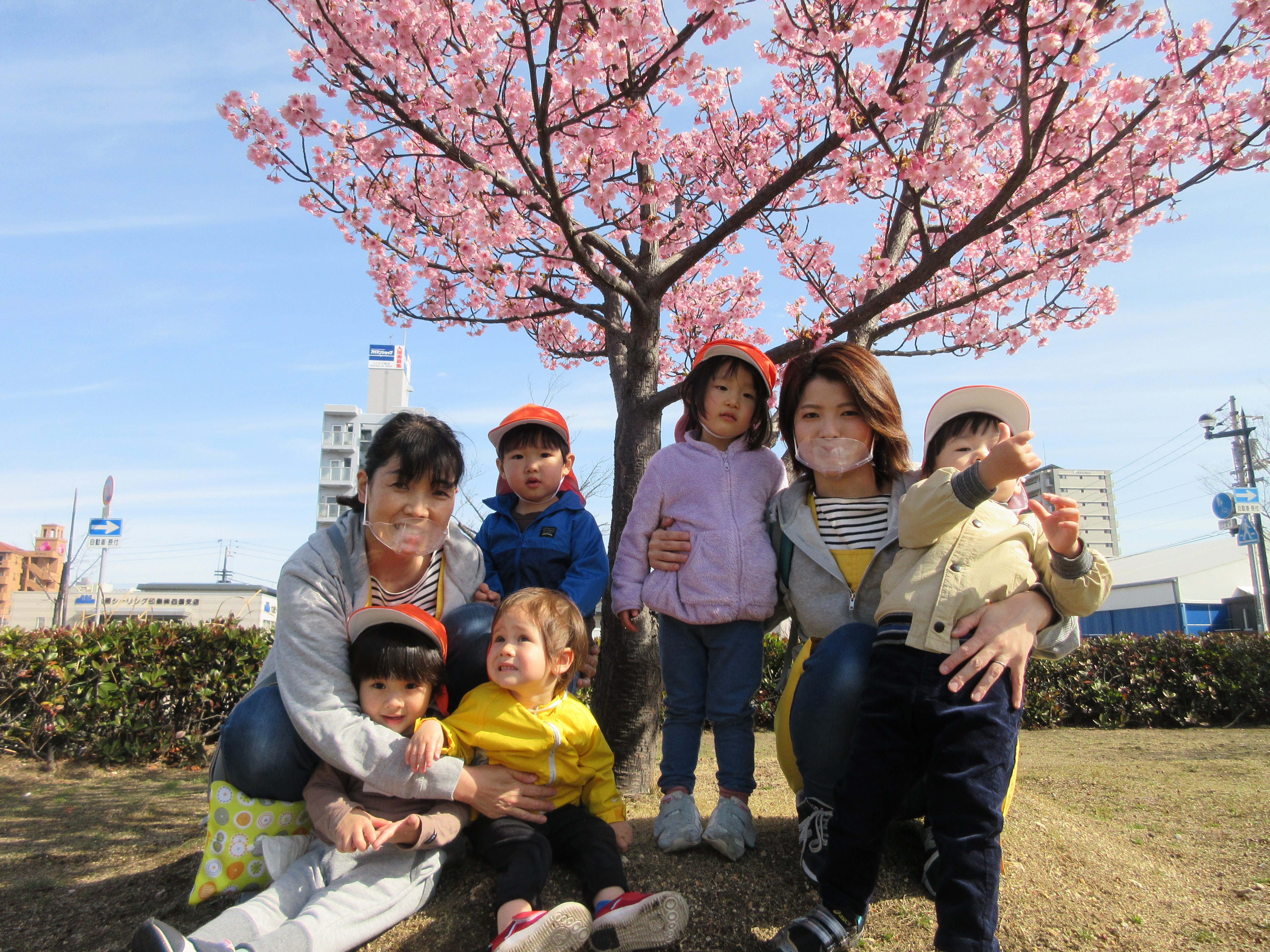 桜が満開だよ(^^♪