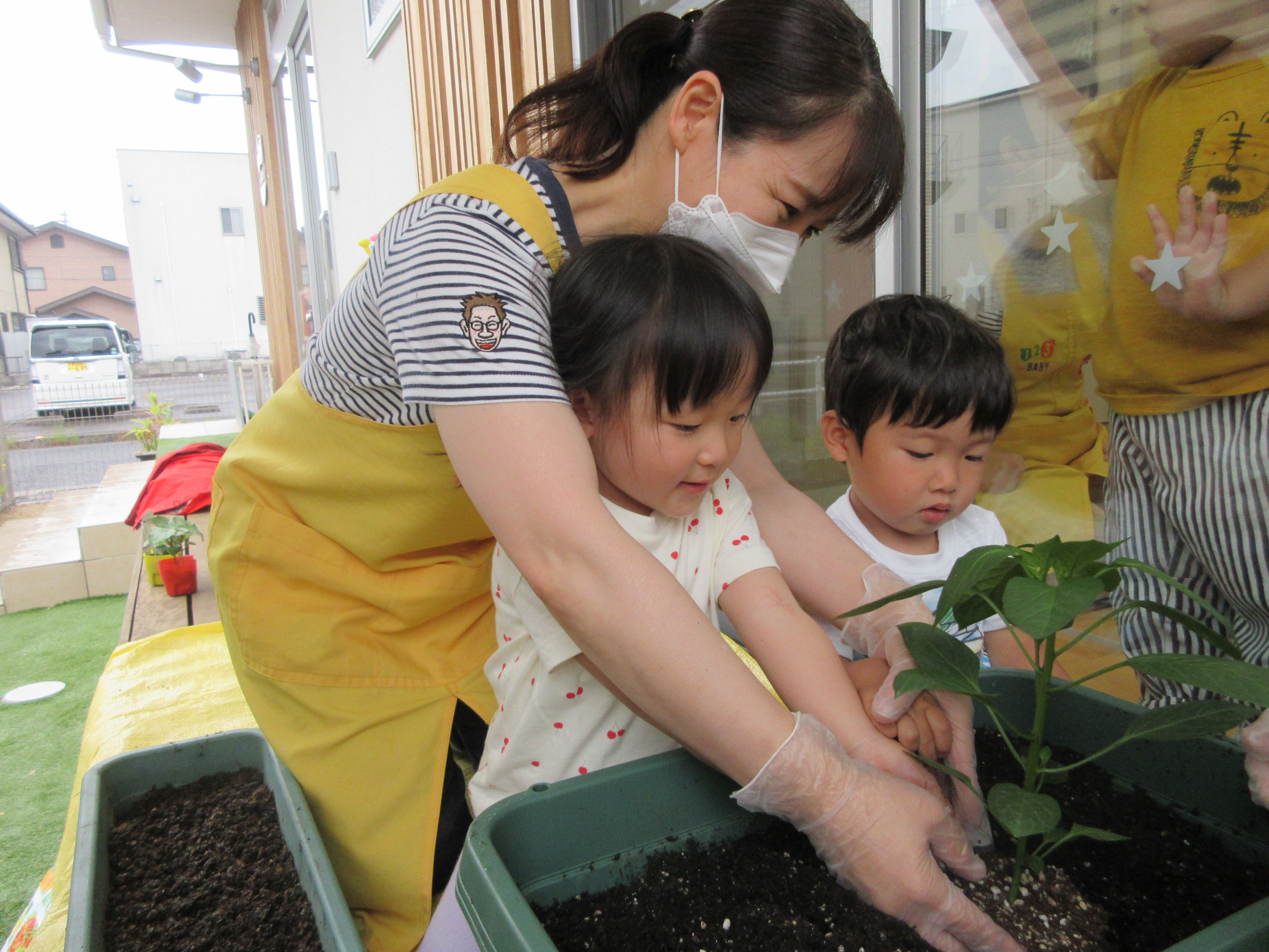 ピーマンとオクラの苗を植えたよ(^^♪