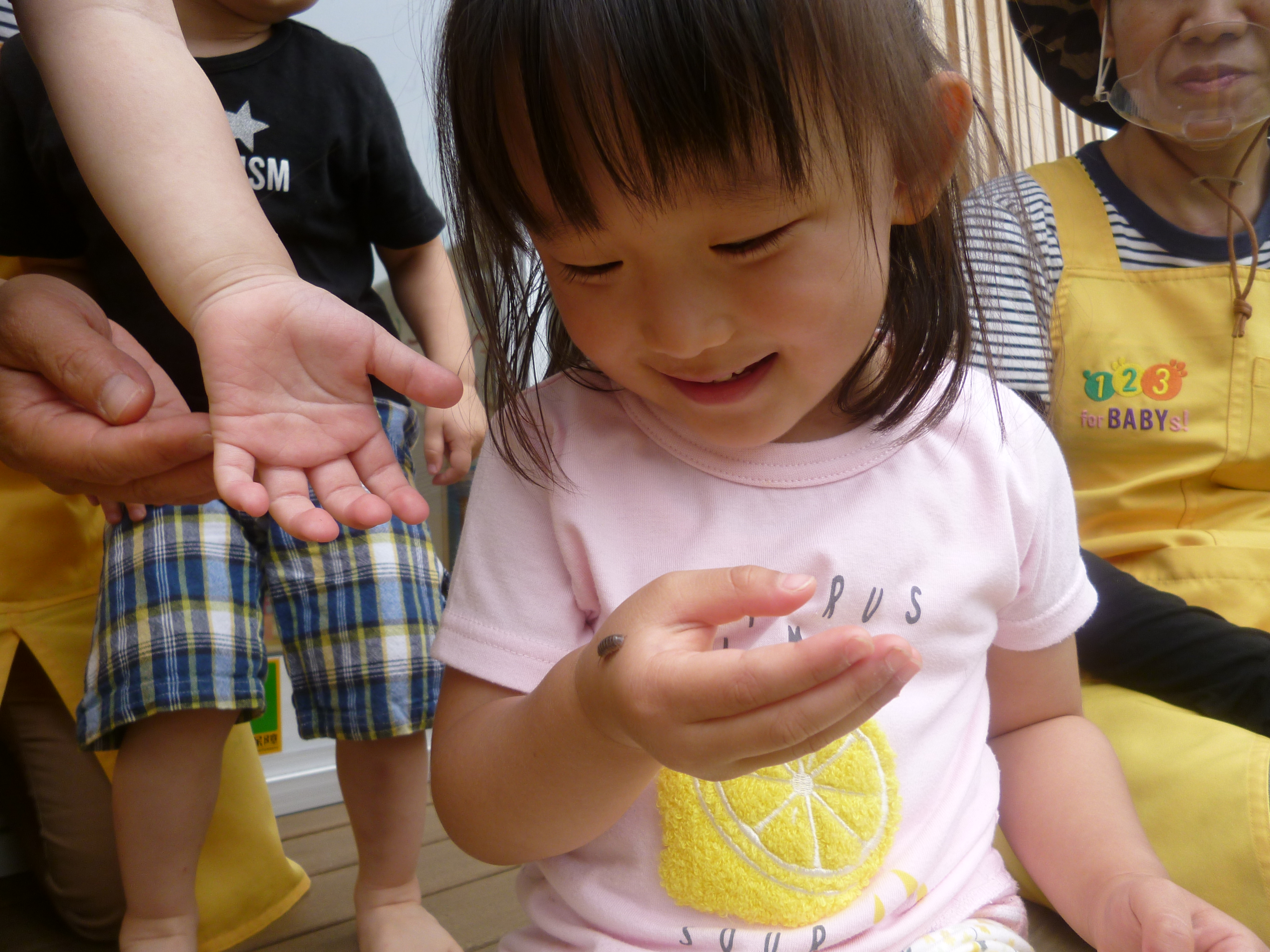 だんごむしに出会ったよ(^^♪