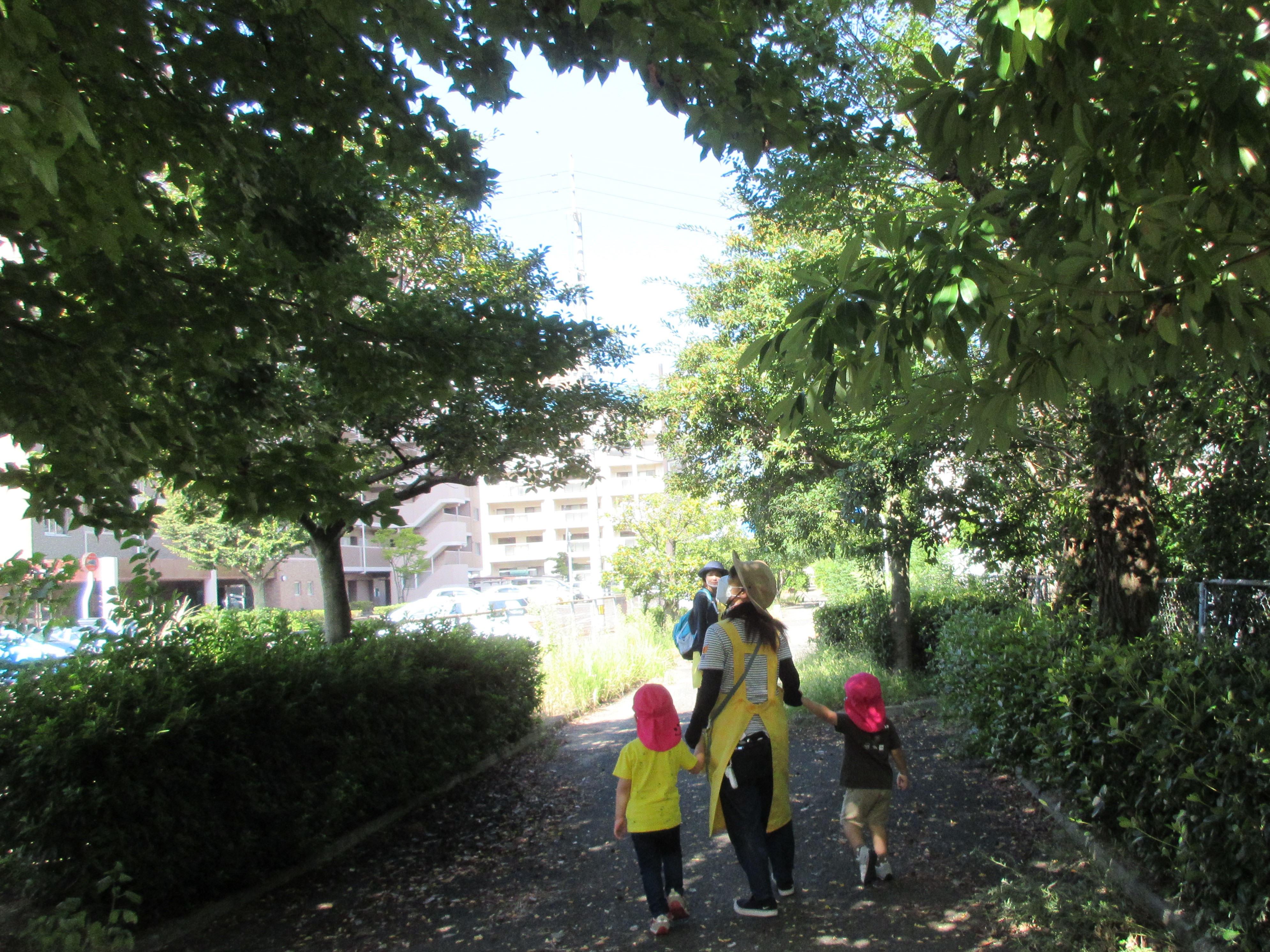 1号公園までお散歩に行ったよ(^^♪