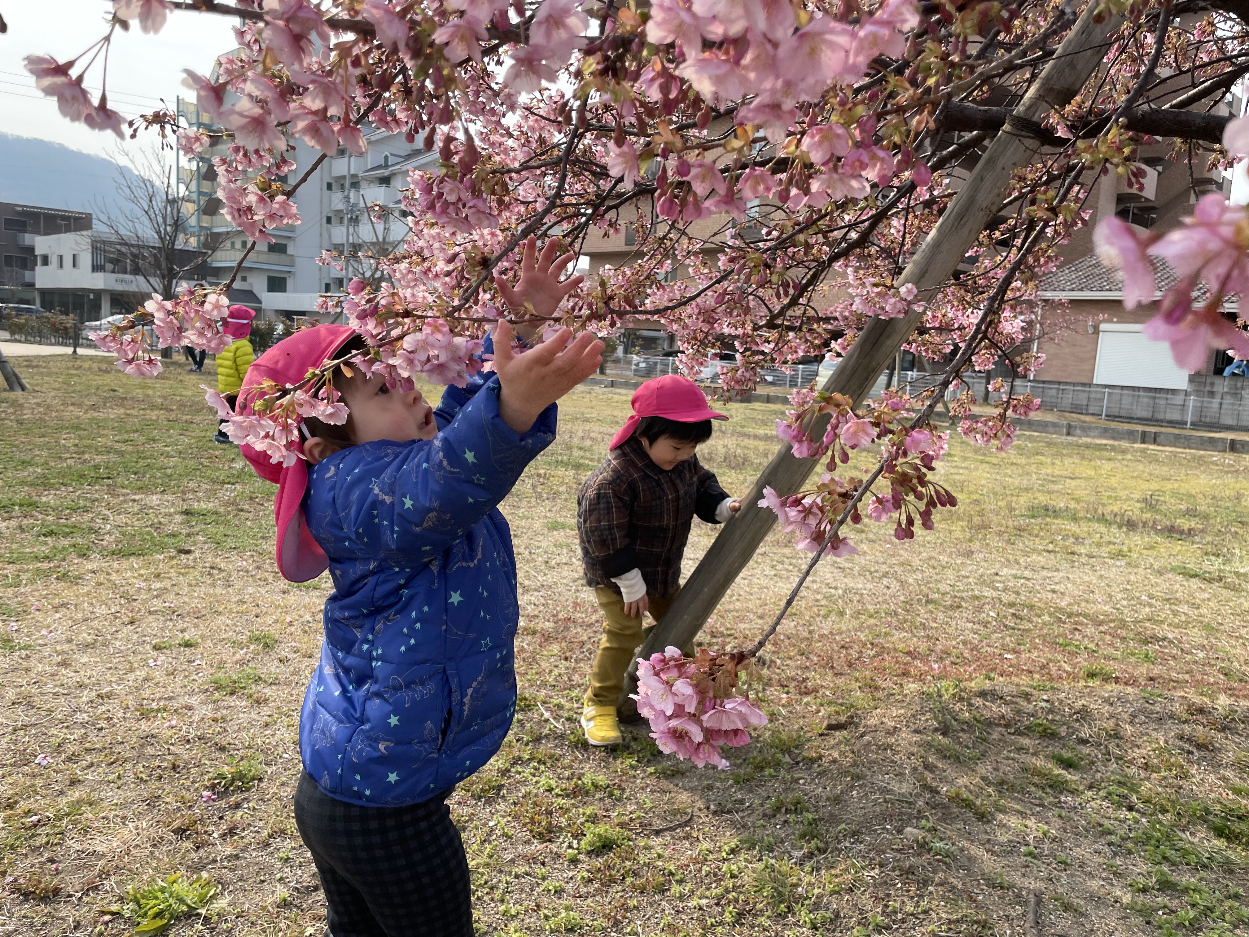 さくらの広場までお散歩に行ったよ(^^♪