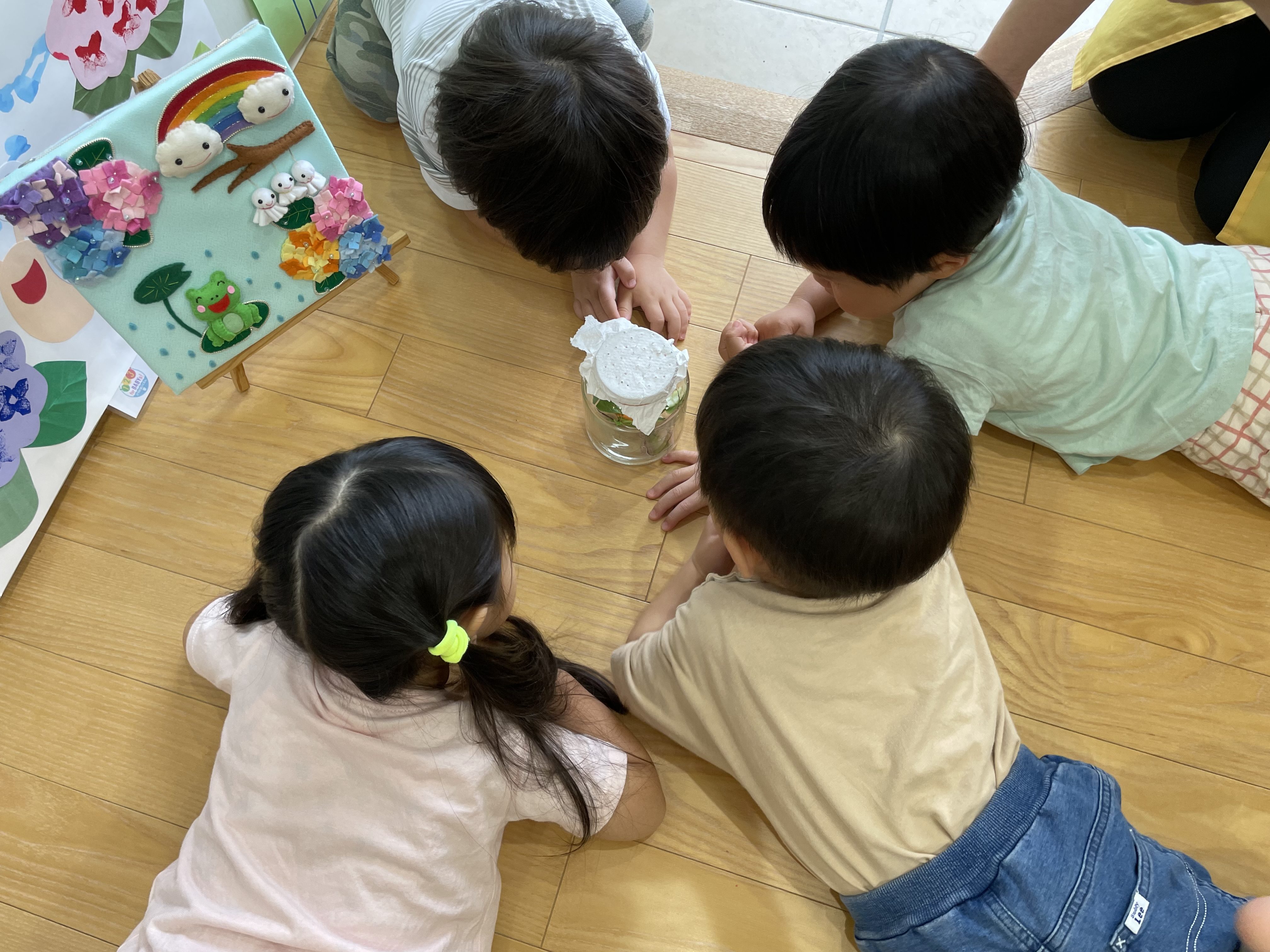 カタツムリさん　こんにちは(^^♪