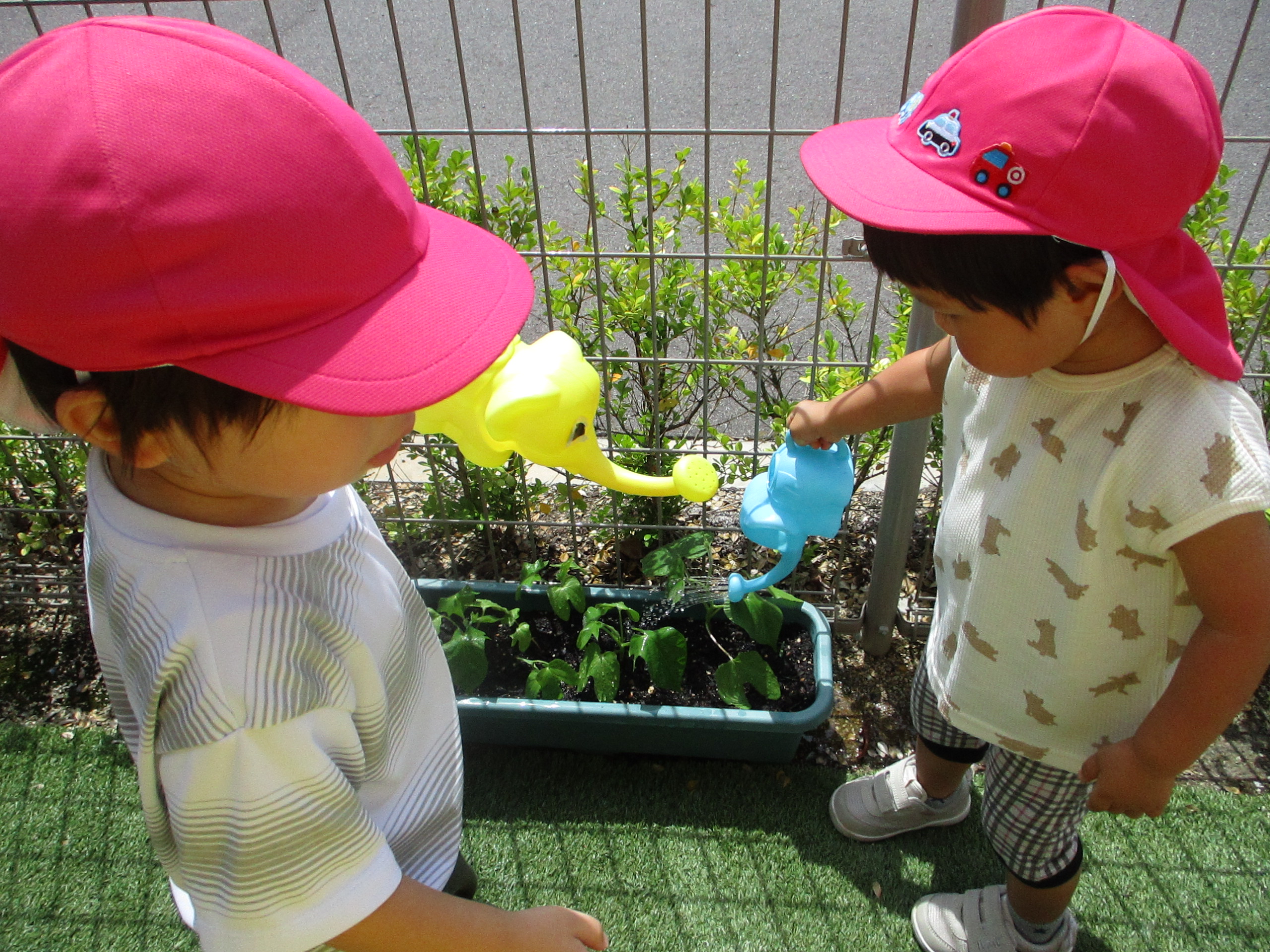 こんにちは！(^^♪