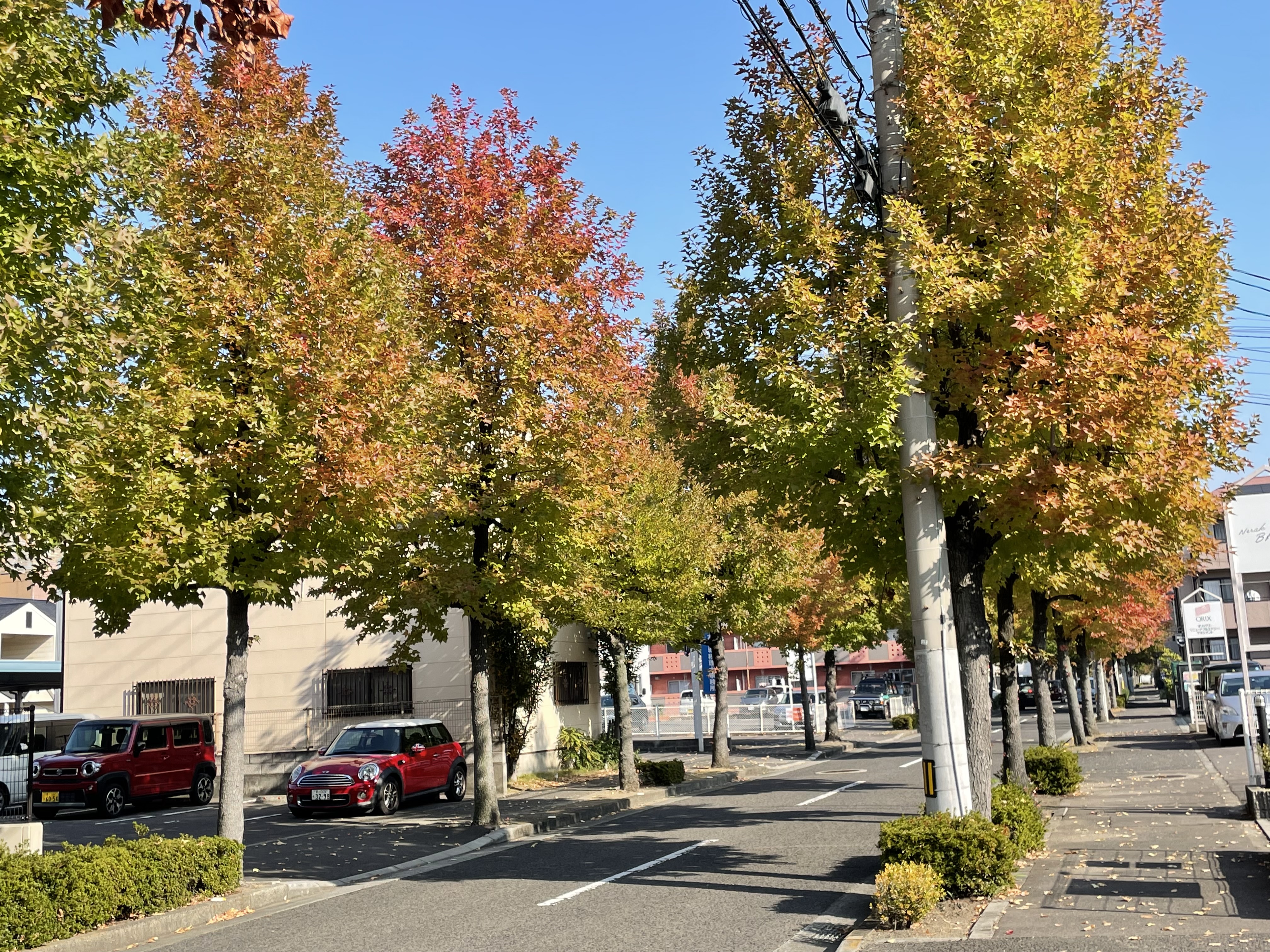 どんぐりみぃーつけた♬