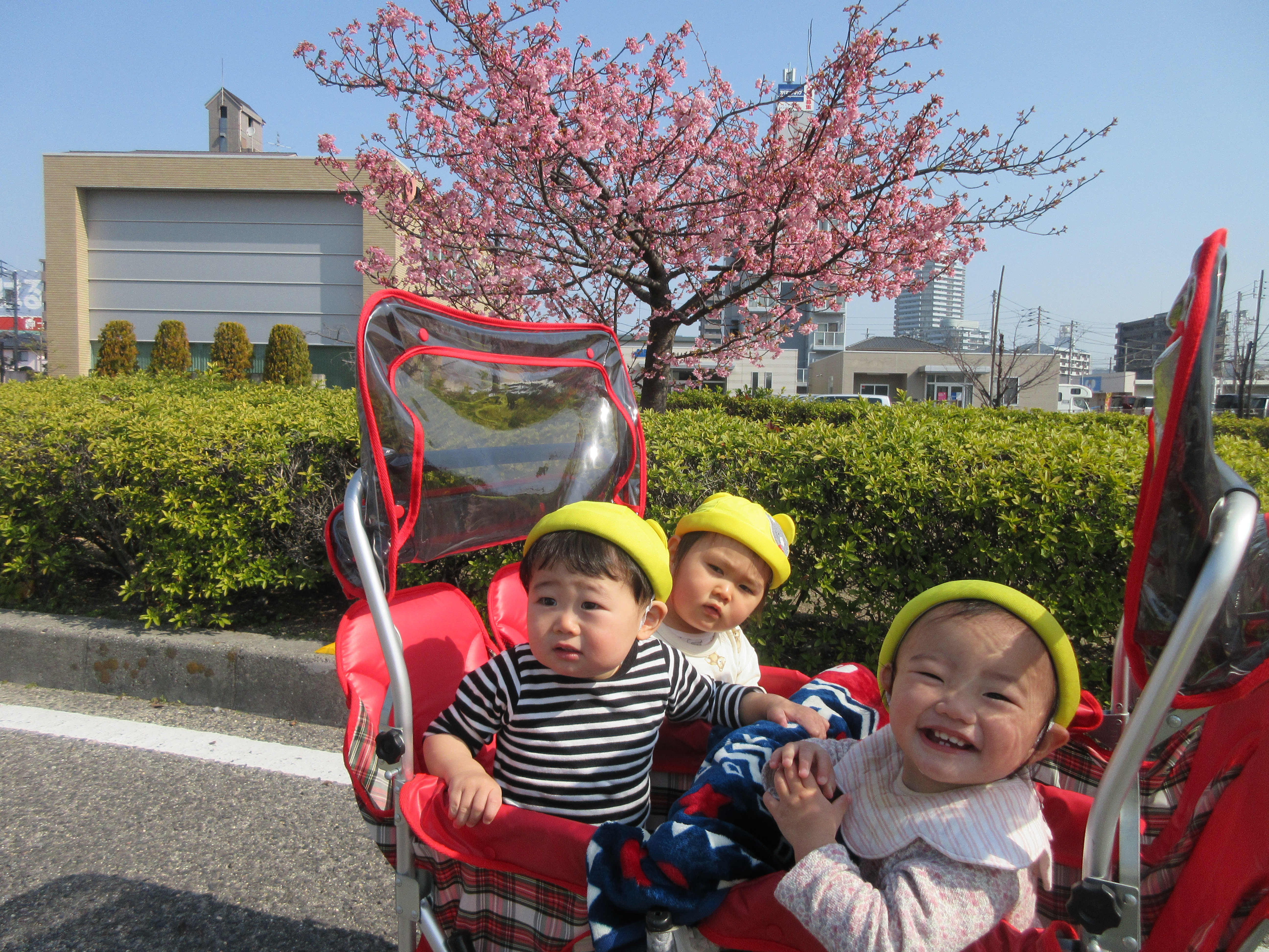 こんにちは(^^♪