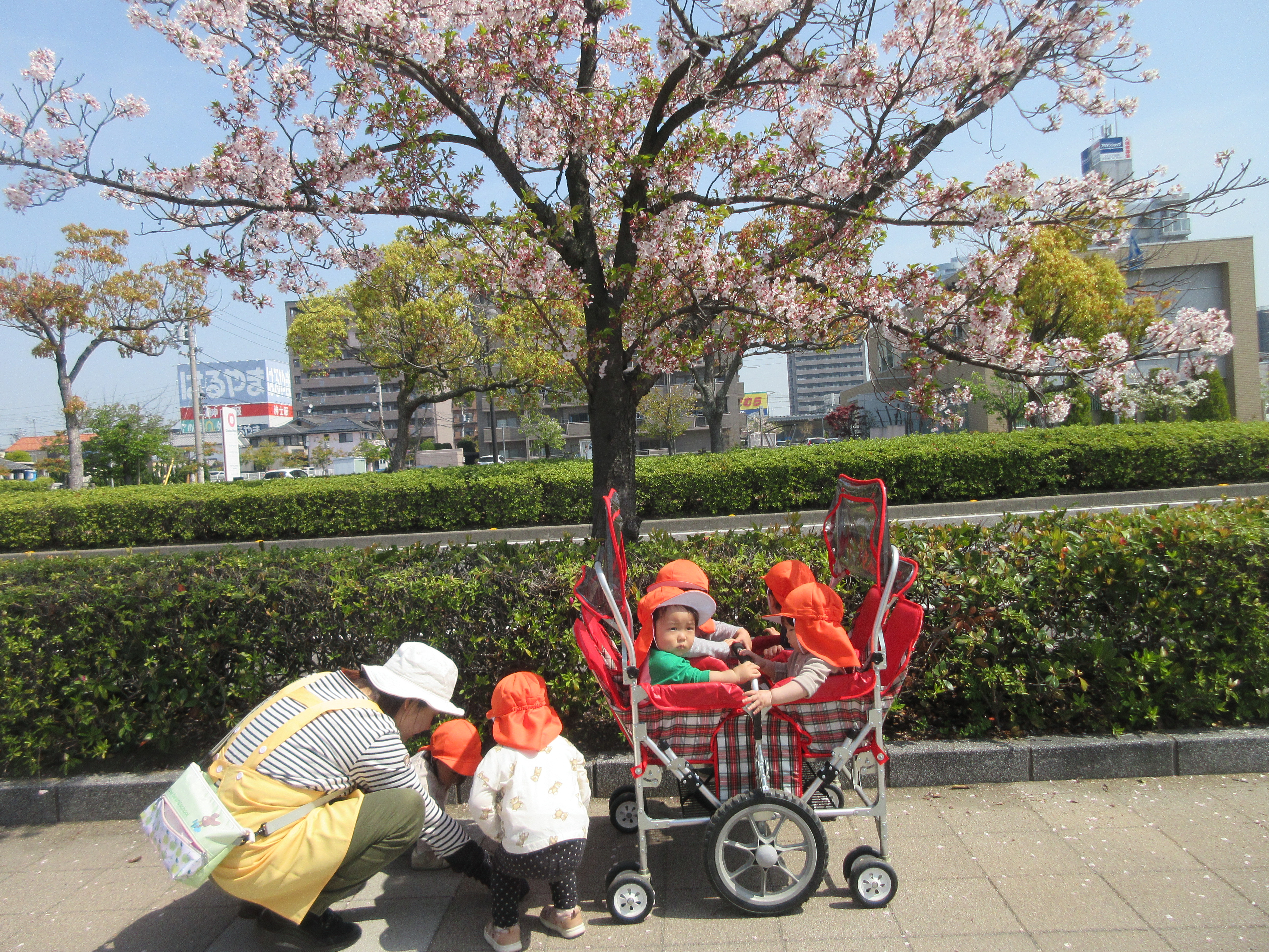 こんにちは(^^♪