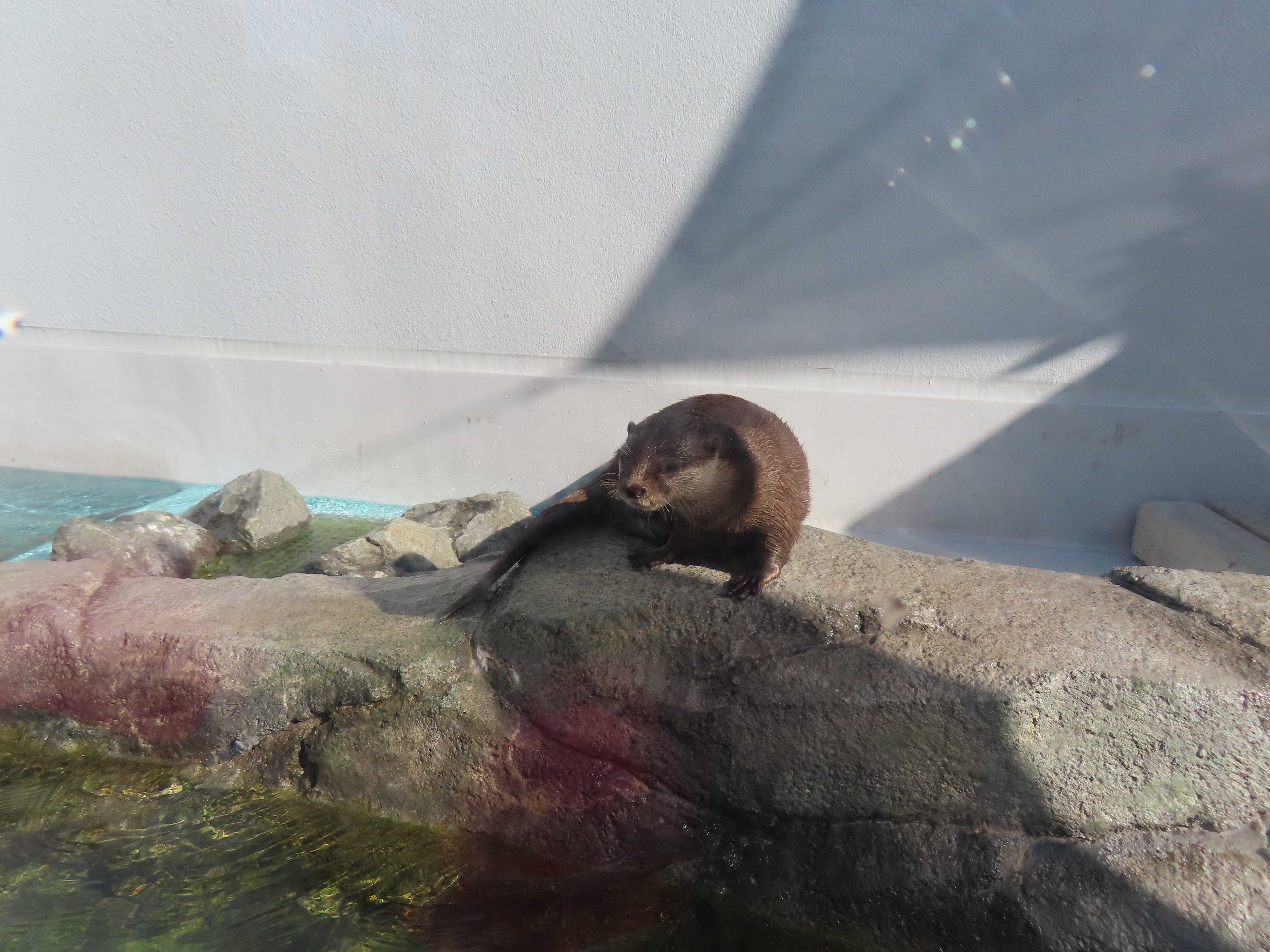 四国水族館🐬